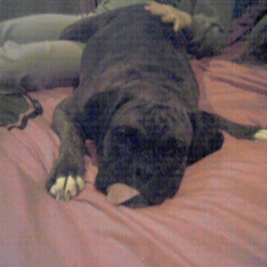 Silly tongue!!!!