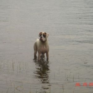 Wet Cassie