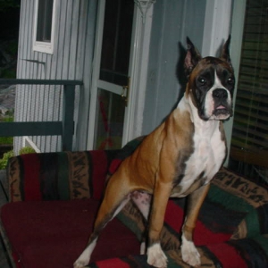 Nancy on Her Porch!