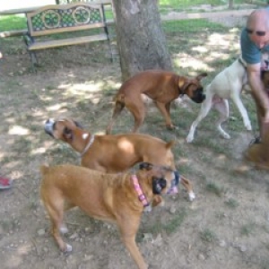 Connecticut Bash August 13, 2006