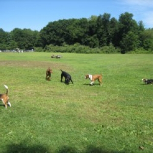 Connecticut Bash August 13, 2006