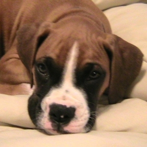 Our new cutie pie!