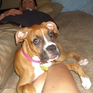 4 Months Old