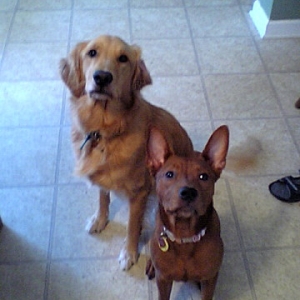 Roxy and Aunt Abby