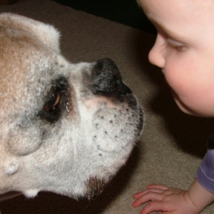 Face to Face