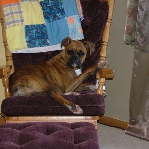 Dakota in his favorite chair