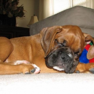 Cassius