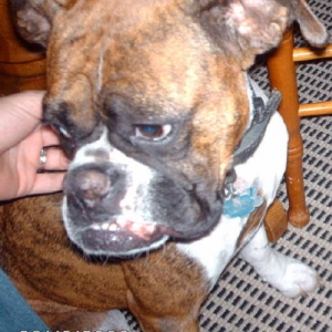 sugga aka egor !