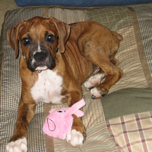 First Day home!