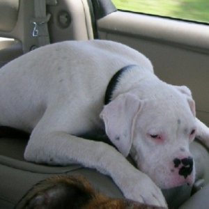 On my way home from the creek