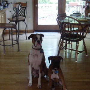 Cleo and Cairo