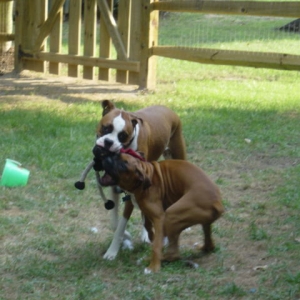 Give me that!!!