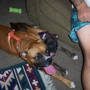 Kasch & Kallie