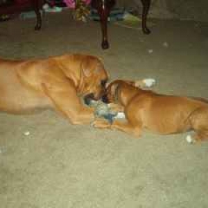 Brother and Sister