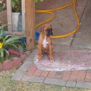 Ain't I cute??