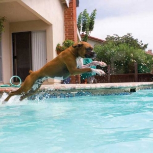 weeeeeeeee!