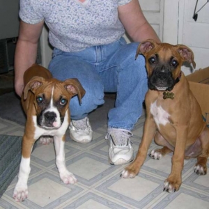 Gus and Dixie at Grandma's