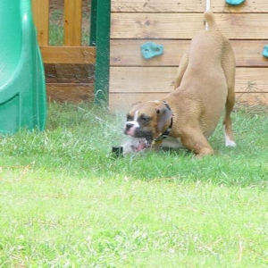 Rinse & spit...