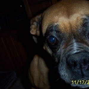 Roxie Girl