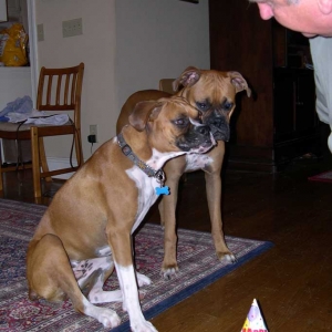 First Birthday