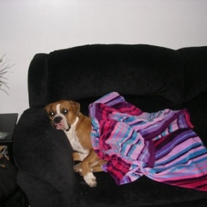 sleepytime