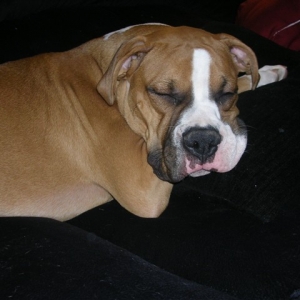 snore!