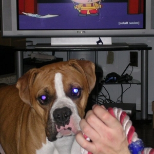 play?
