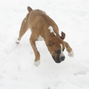 Snow