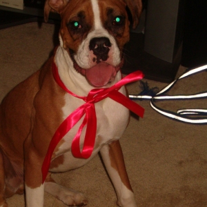 Riley's 2nd Christmas