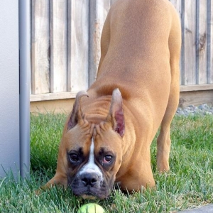 Wanna play ball?