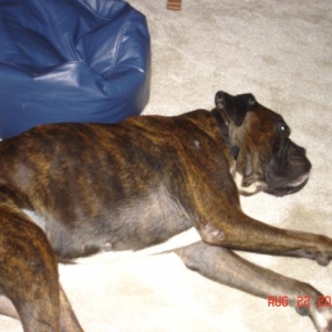Sleepy Head!