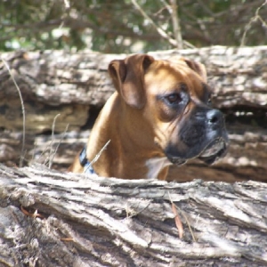 Can you see me now?