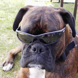 Bruno's holiday look