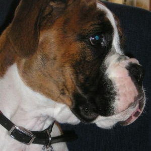 Biff 14 weeks