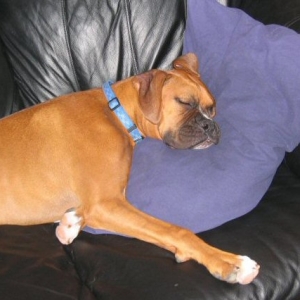 Napping