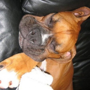 Sleeping