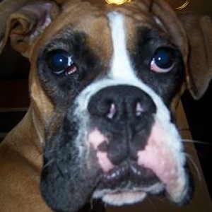 Mr. Droopy Face