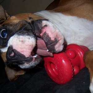 CRAZY BOY!