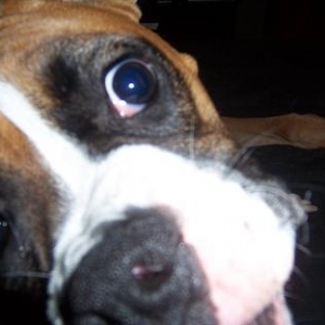 I see you!