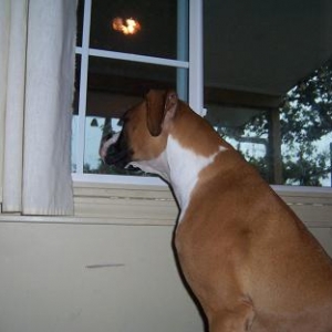 On guard