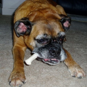 Clio with her raw hide