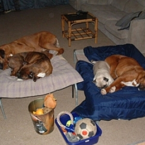 sleep