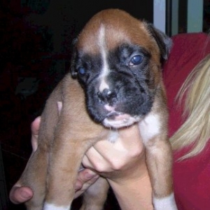 Kalel at 3 and a half weeks!