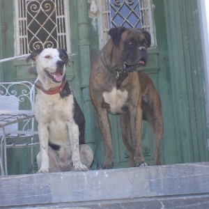 Martin and Boulou
