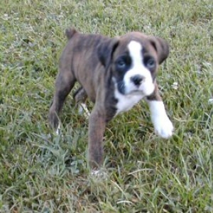 First day home