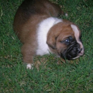 Dora at 2 weeks