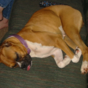 Sleeping beauty???