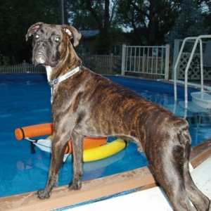 Hanging by the pool