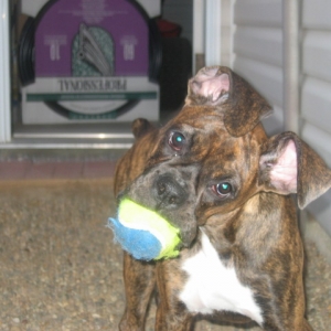 Molly always posin for the camera!!