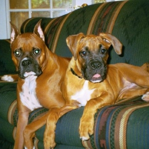 Cisco & Leila - Gorgeous